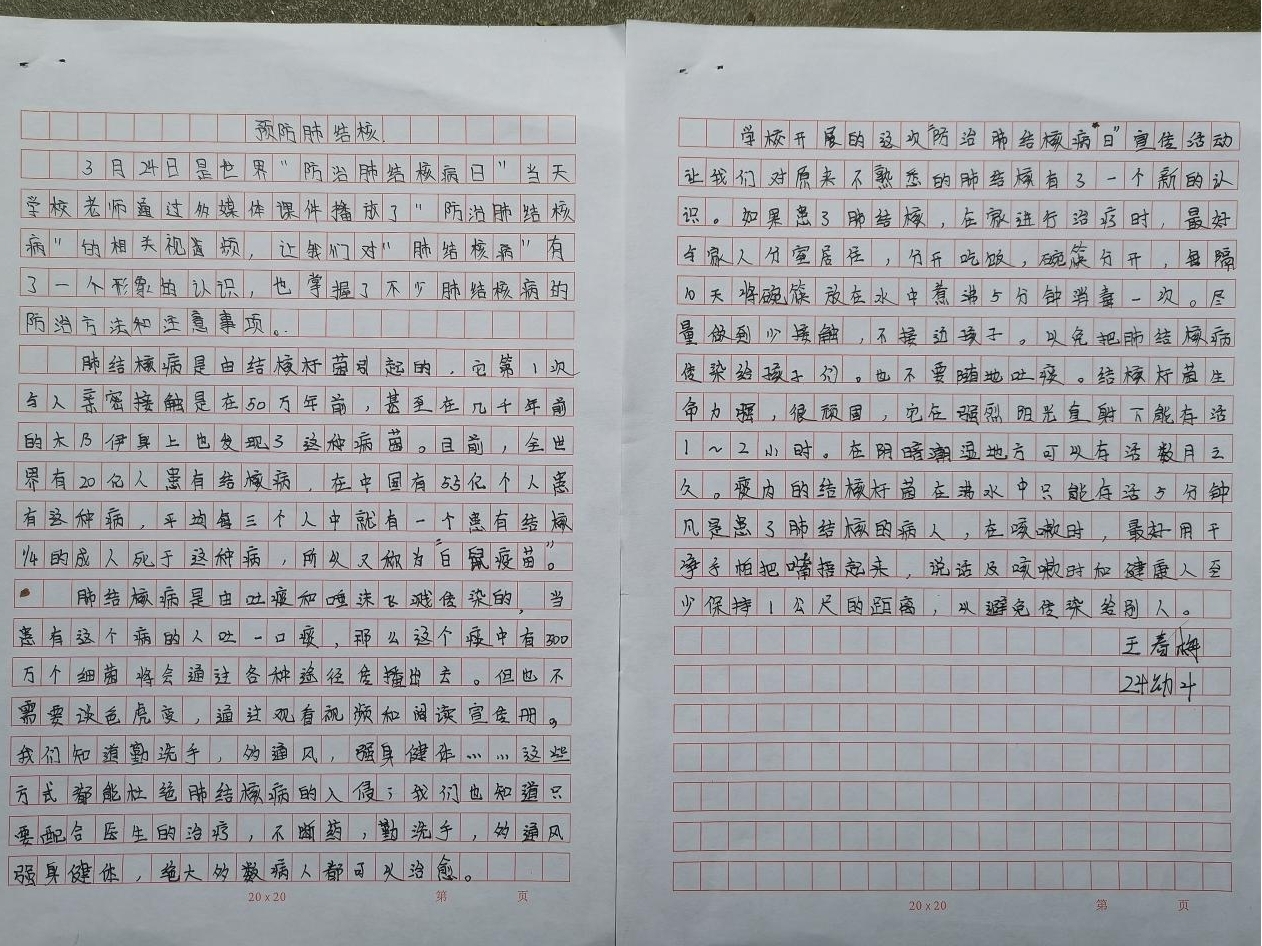 335.jpg