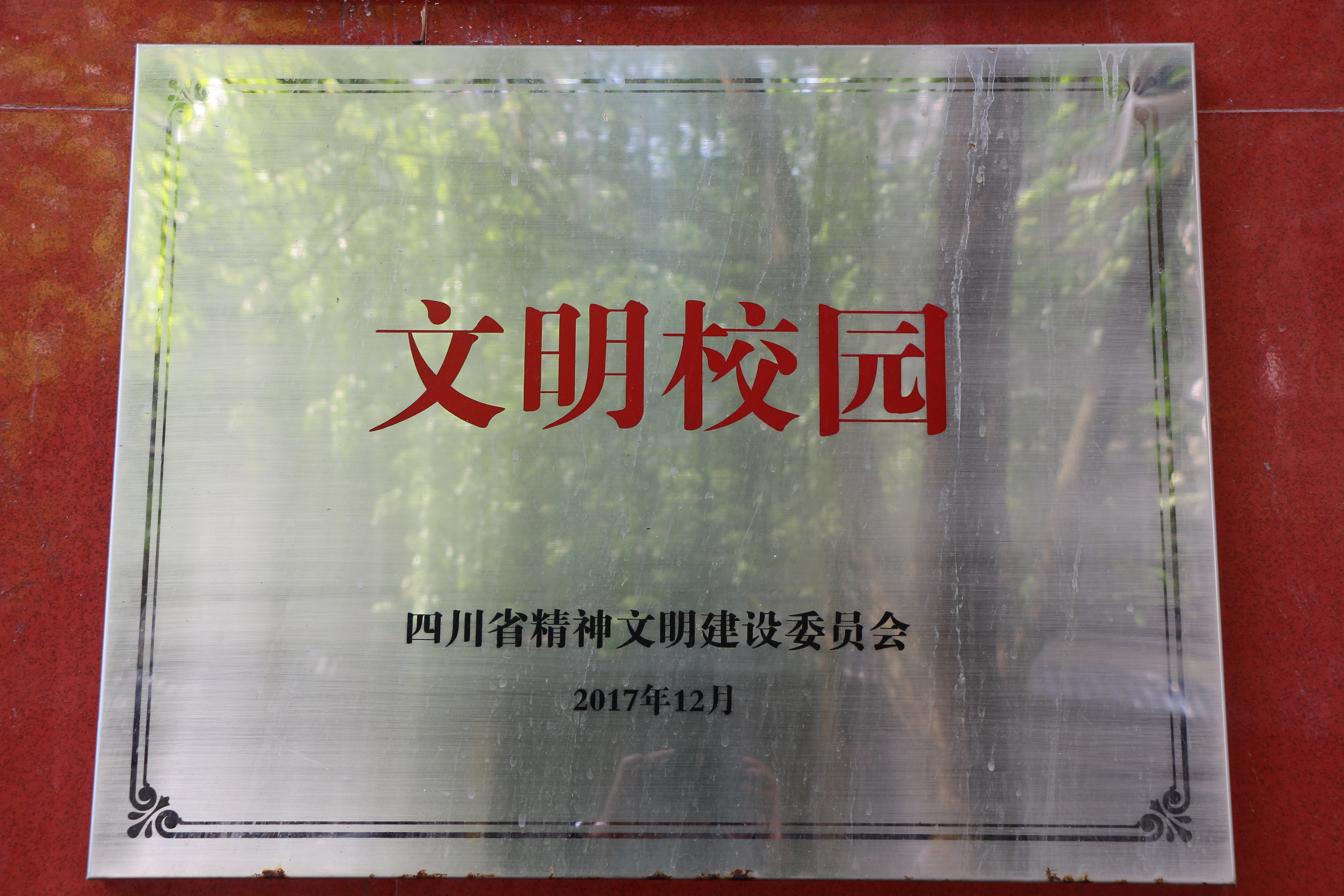 2017年获奖照片.JPG